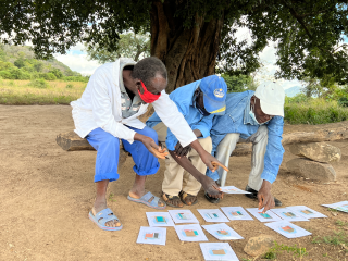 Three Zimbabwean men sort a set of cards with images of latrines.